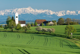 Überlingen 1875-2016, Blick ueber Aufkircher St Michaelskirche
