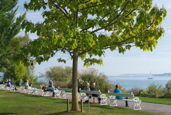 Überlingen 1906-2016, Bänke im Badgarten