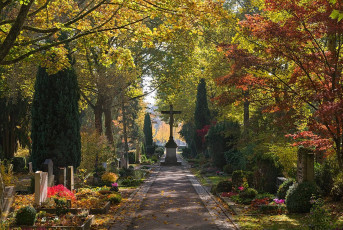 Überlingen 2053-2016, Weg mit Kreuz im Alten Friedhof