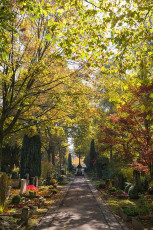 Überlingen 2055-2016, Weg mit Kreuz im Alten Friedhof