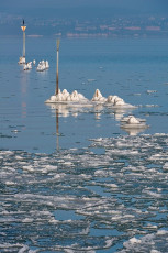 Muensterlingen 0066-2017, Eisschollen und Seezeichen mit Eiskrag