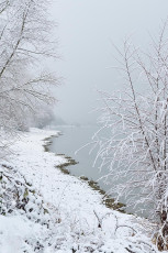 Kreuzlingen 0091-2017, Verschneites Seeufer im Seepark