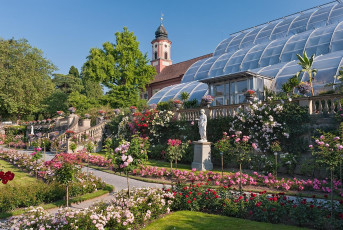 Mainau 346-2010, Italienischer Rosengarten und Palmenhaus
