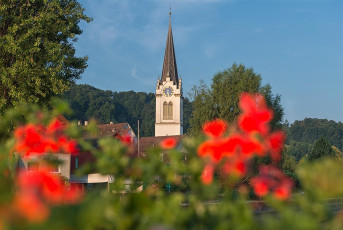 Berlingen 0154-2017, Kirchturm im Morgenlicht