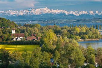 Birnau 0369-2017, Frühlingsblick auf Seefelden, Uhldinger Bucht