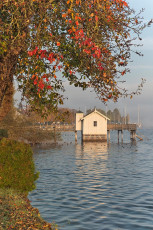 Bodman 0447-2017, Badehaus in der Stelle und Birnbaum im Herbst