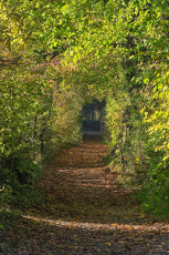 Güttingen 0029-2017, Herbstlicher Uferweg nach Kesswil