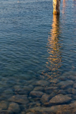 Immenstaad 1161-2017, Flachwasser mit Dalbenspiegelung