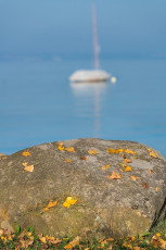 Kesswil 0003-2017, Herbst am Seeufer und Segelboot