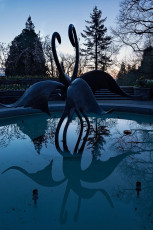 Mainau 1646-2017, Morgendämmerung Brunnen Mediterranterrasse