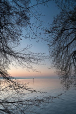Mainau 1673-2017, Morgendämmerung beim Hafen