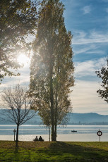 Radolfzell 0557-2017, Herbstufer im Strandbad Mettnau