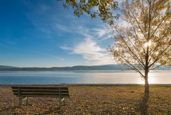 Radolfzell 0561-2017, Bank im Strandbad Mettnau im Herbst