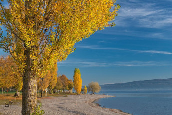 Radolfzell 0571-2017, Herbstliches Ufer im Strandbad Mettnau
