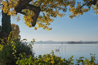 Reichenau 0838-2017, Herbstufer bei Niederzell und Blick ins Heg