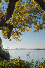 Reichenau 0840-2017, Herbstufer bei Niederzell und Blick ins Heg