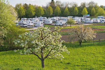Überlingen 2282-2017, Wohnmobilparkplatz und Obstblüte