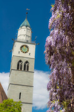 Überlingen 2327-2017, Blauglocke vor Münster