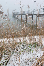 Überlingen 2509-2017, Nußdorfer Landesteg und Schilf im Schnee