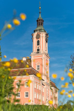 Birnau 0399-2018, Frühlingswiese an der Barockkirche