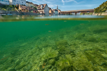 Diessenhofen 0007-2018, Unterwasserbild Rhein und Ortskern mit H
