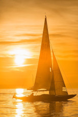 Friedrichshafen 1625-2018, Segelboot im Sonnenuntergang