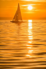 Friedrichshafen 1629-2018, Segelboot im Sonnenuntergang