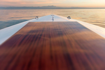 Friedrichshafen 1653-2018, Motorboot Sprotte vor Alpen im Abendr