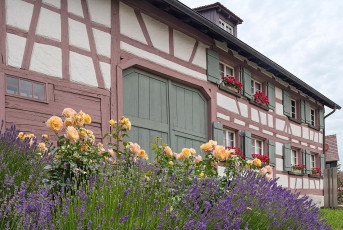 Gaienhofen 0091-2018, Hermann-Hesse-Museum