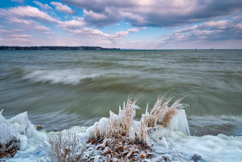 Konstanz 1537-2018, Eisformationen am Ufer