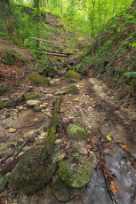 Langenrain 0043-2018, Katharinabach in der Katharinenschlucht