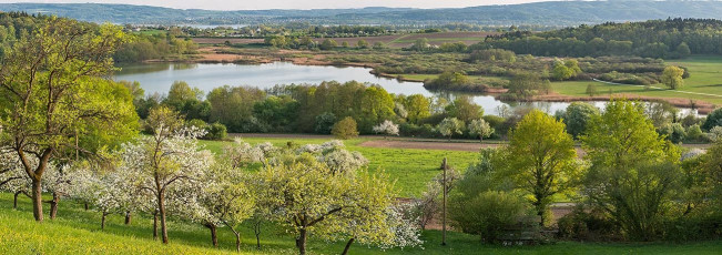Möggingen 0020-2018 PANO, Blühende Obstbäume und Mindelsee