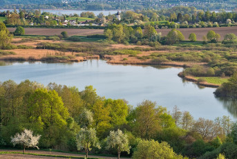 Möggingen 0023-2018, Blühende Obstbäume und Mindelsee