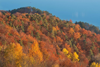 Sipplingen 1056-2018, Herbstwald und See