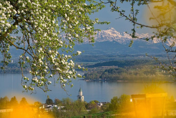 Überlingen 2584-2018, Münsterturm und Alpen im Frühling