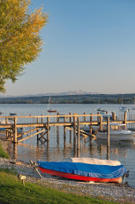 Allensbach 0385-2019, Ufer mit Steg, Booten und Alpen
