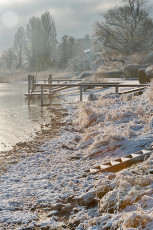 Dingelsdorf 0202-2019, Wintermorgen am Ufer beim Hafen