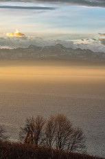 Meersburg 1843-2019, Weinberg und Alpen im Morgenlicht