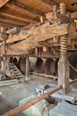Nonnenhorn 0469-2019, Alter Weintorkel