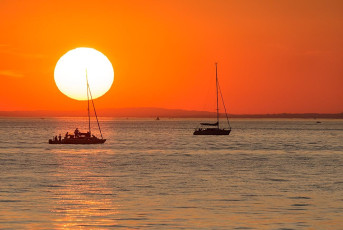 Bregenz 1363-2019, Segelboote im Sonnenuntergang