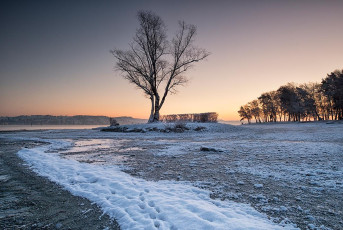 Dingelsdorf 0125-2019, Wintersonnenaufgang am Klausenhorn