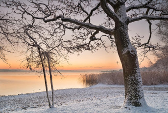Dingelsdorf 0135-2019, Wintersonnenaufgang am Klausenhorn
