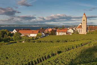 Hagnau 1110-2019, Ort mit Weinberg und Kirche