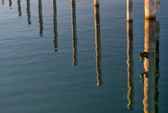 Iznang 0273-2019, Dalben mit Spiegelung