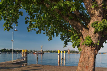 Konstanz 1800-2019, Kastanie bei Hafenmeisterei und Hafeneinfahr