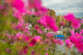 Radolfzell 0616-2019, Herbstufer beim Seebad