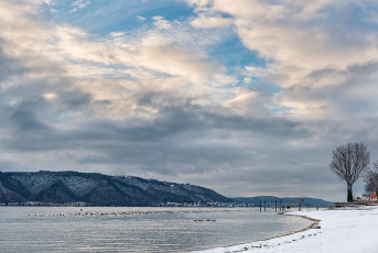 Sipplingen 1077-2019, Verschneites Ufer und Bodanrück