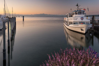 Unteruhldingen 0612-2019, MS Uhldingen und Alpen in der Morgend