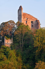 Bodman 0689-2020, Ruine Altbodman in der Morgensonne