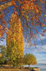 Hagnau 1220-2020, Herbststimmung am Osthafen